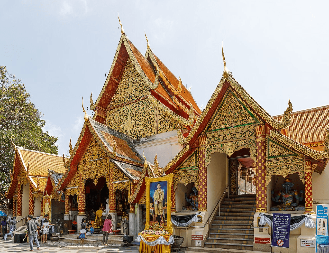 The Best Street Food Spots to Try in Bangkok