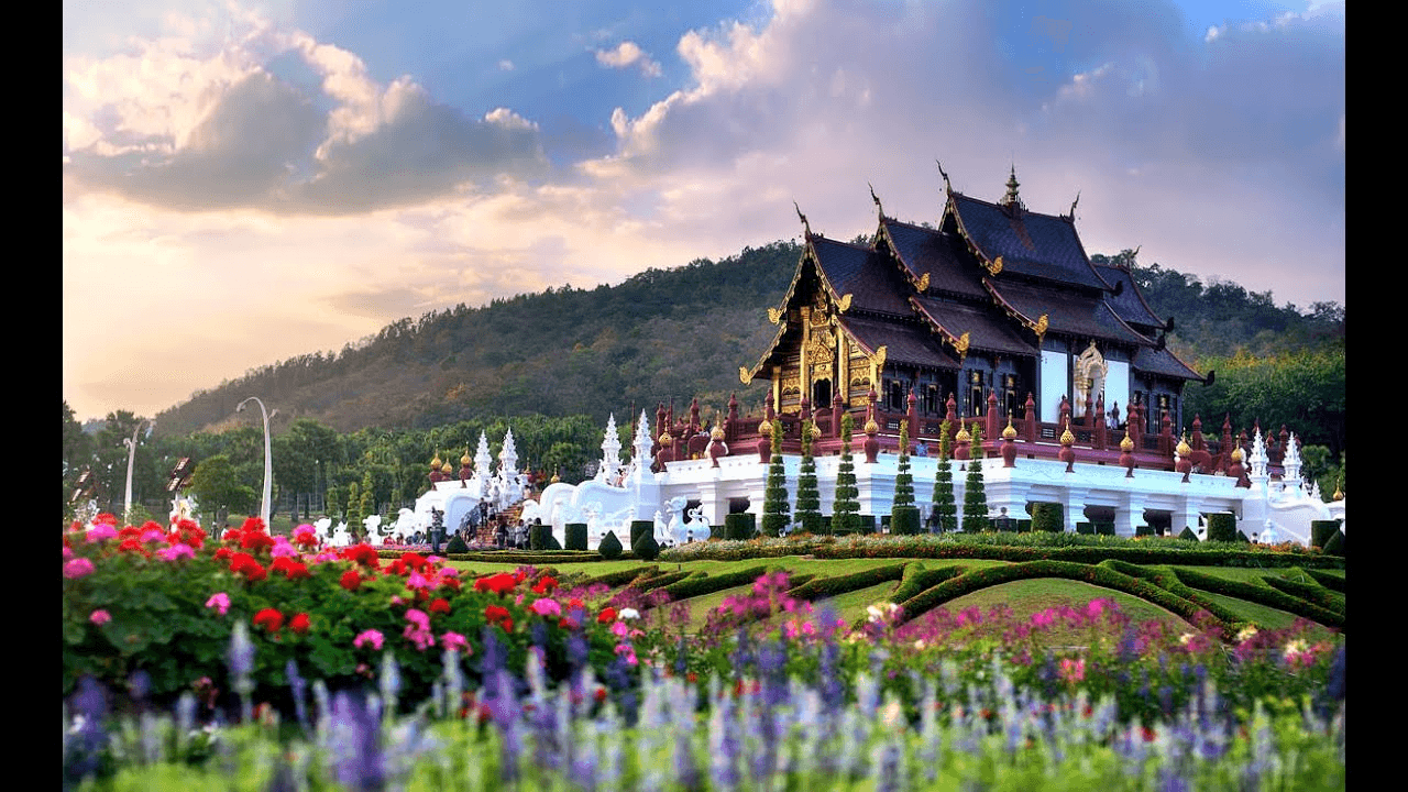 Why Visit Bangkok